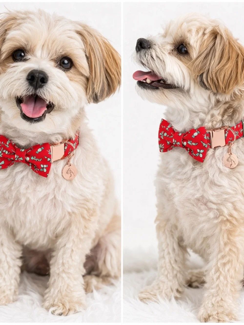 Red Candy Print Dog Collar S/M w Detachable Bow Tie Rose Gold NWT Cute